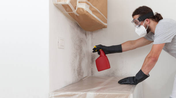 Professional Black Mold Removal technician working in Allenwood, PA